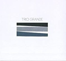Trio grande usato  Milano