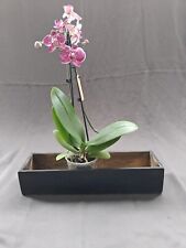 Decorative wood planter for sale  Los Angeles