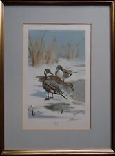 Harrison signed pintail for sale  WEST MOLESEY