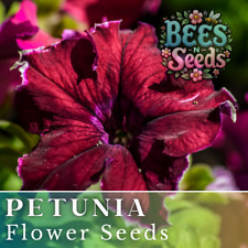 1000 scarlet velvet for sale  Meridian