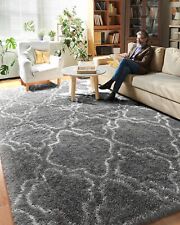 Large area rugs for sale  Lakewood