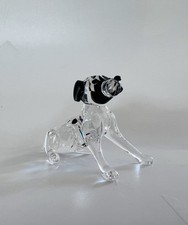 dalmatian puppies for sale dalmatian puppies for sale GRANTHAM