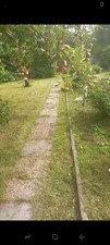 Garten laube wilhelmshaven gebraucht kaufen  Wilhelmshaven