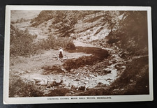 Stepping stones monk for sale  EXETER