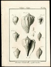 1792 lamarck histoire for sale  Saint Augustine