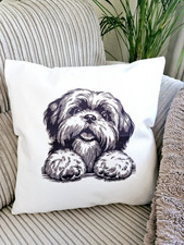 Lhasa apso shih for sale  SPALDING