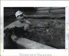 1991 press photo for sale  Memphis