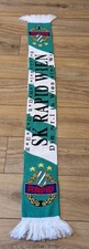 Rapid wien fanschal gebraucht kaufen  Bernau