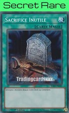 Sacrifice inutile ra02 d'occasion  France