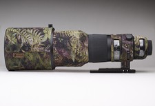 Sigma 500mm hsm gebraucht kaufen  Neuwied