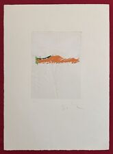 Quadro mario schifano usato  Roma