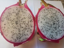 100 seeds white for sale  Simi Valley