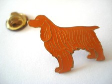 Pins chien setter d'occasion  Sisteron