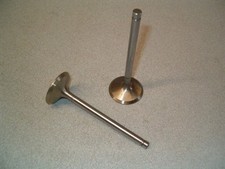Pair exhaust valves for sale  Dover