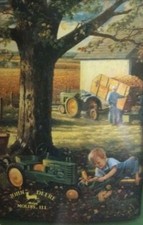 John deere autumn for sale  Lancaster