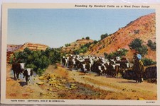 hereford cattle for sale hereford cattle for sale Wilmington