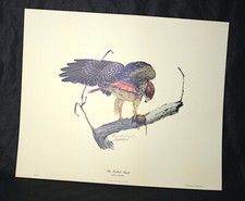 Guy coheleach hand for sale  Sonoma