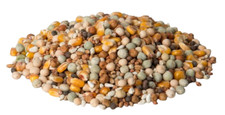 Pigeon mix high for sale  WOLVERHAMPTON