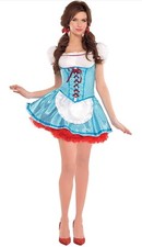 Wizard dorothy halloween for sale  Solon