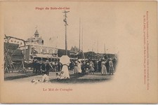Bois cise mât d'occasion  France