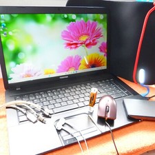 Toshiba c870 zoll gebraucht kaufen  Oberweißbach/Thür. Wald