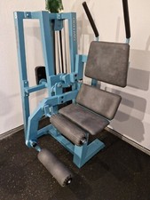 Profi bauchbeugemaschine gym gebraucht kaufen  Duderstadt