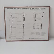 Anatomia radiografica delle usato  Vilminore di Scalve