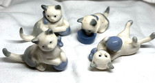 china cats for sale  DORCHESTER