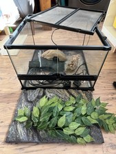 Eco terra terrarium for sale  HUNTINGDON