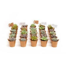 Wedding event rosette for sale  Los Angeles