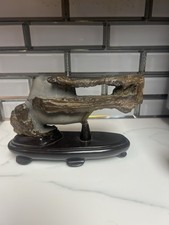 Vintage japanese suiseki for sale  Lincoln University