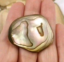 Vintage polished paua for sale  MANSFIELD