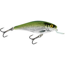 Salmo executor esche usato  Spedire a Italy