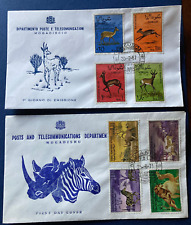 1967 animali animals usato  Figline Valdarno