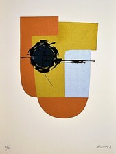 Edgardo mannucci serigrafia usato Edgardo mannucci serigrafia usato  Italia