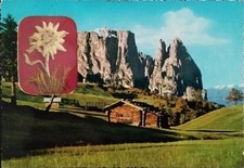 Vecchia cartolina dolomiti usato  Vittorio Veneto
