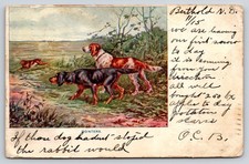 Animals pointer hunting for sale  USA