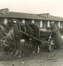Occupation elderly russian for sale  Redwood City
