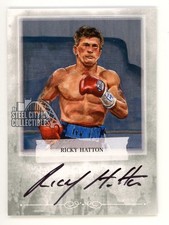 Ricky hatton 2010 for sale  McKeesport