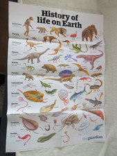 Guardian wallchart history for sale  HASTINGS
