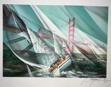 Regate san francisco d'occasion  Pluvigner
