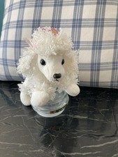 Aurora mini poodle for sale  BIRMINGHAM