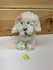 Frenchy white poodle for sale Frenchy white poodle for sale  Bucyrus