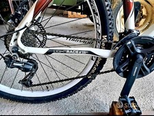 Bici torpado mtb usato  Turrivalignani