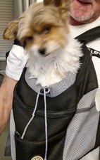 dog carrier bag for sale  WORCESTER