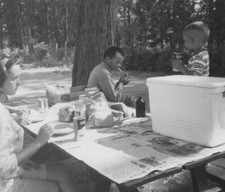 1963 family picnic for sale  Mission