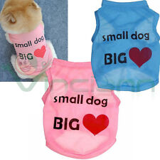 Maglia maglietta dog usato  Mercato San Severino