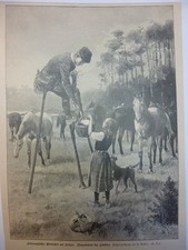 Rig holzstich pferde gebraucht kaufen Rig holzstich pferde gebraucht kaufen  Memmingen