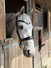 Saddles & Tack for sale  HIGH WYCOMBE