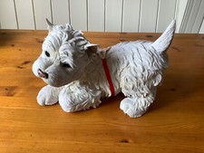 westie terrier puppies for sale westie terrier puppies for sale STRATFORD-UPON-AVON